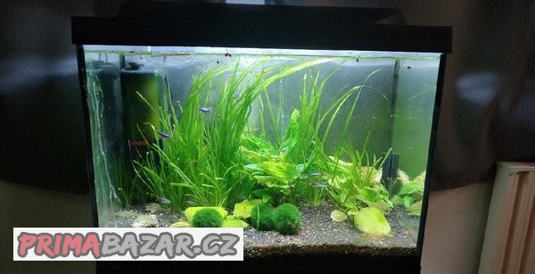 akvarium-80l