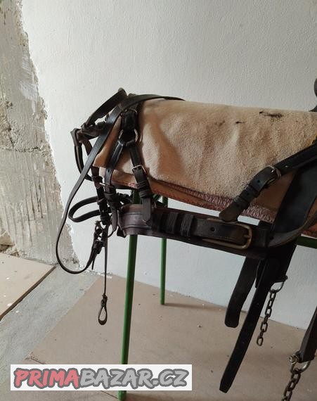 Poprsní postroje na pony