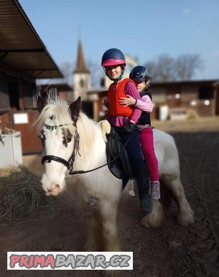 krasny-gipsy-cob