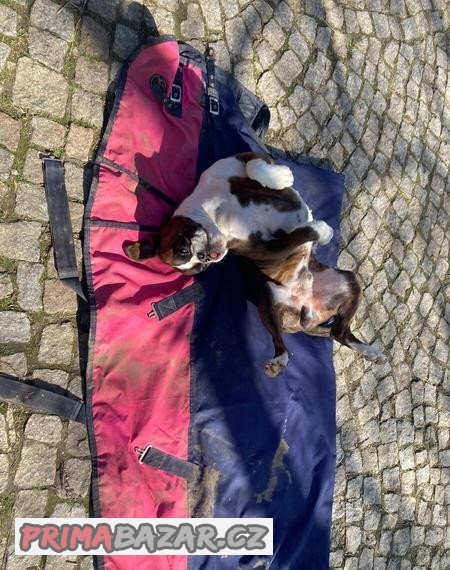 Nepromokavá termodeka 145 cm
