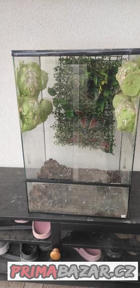 Terarium starši ještě poslouží 60x35x40 .cena dohodou