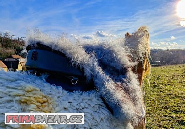 Ghost Maremma