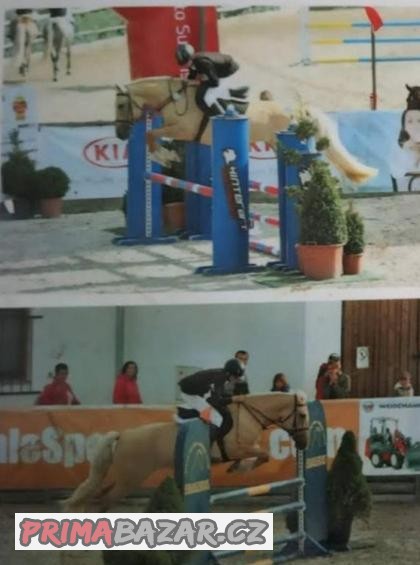 Pony učitelka