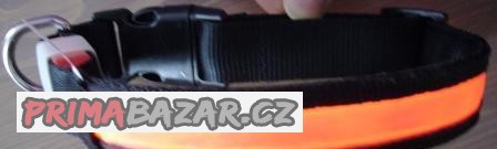 svítící obojek na psa