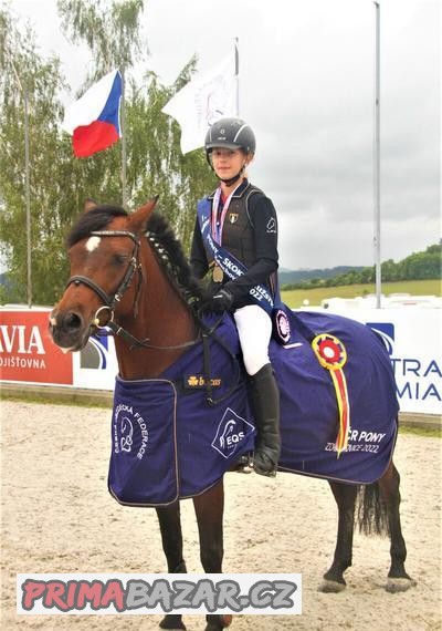 TOP sportovní pony