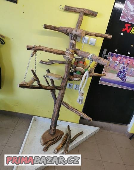 Strom pro papoušky Žako