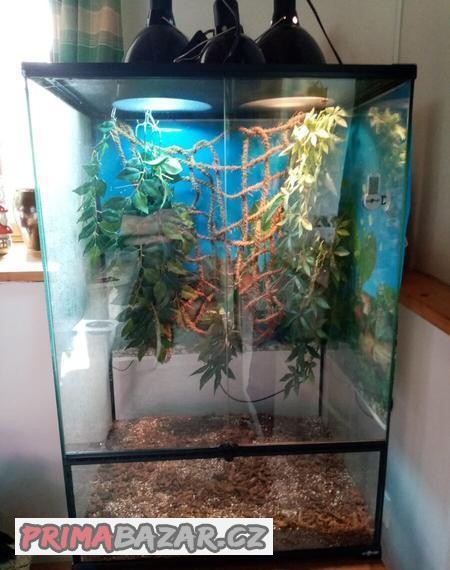 Terárium pro chameleona