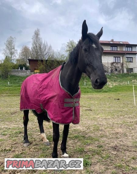 Horseware amigo deka 0g