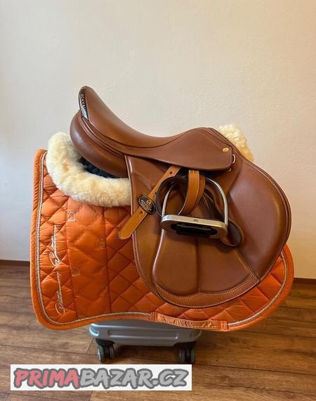 Acavallo modigliani 16,5” junior