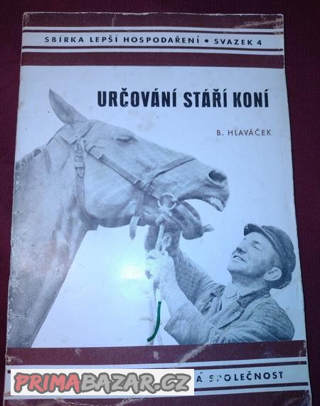 Určování stáří koní