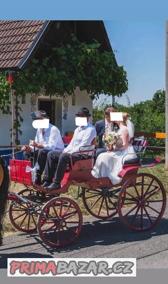 Vínová bryčka - vůz