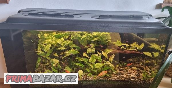 Prodám plně vybavené 180 litrové akvárium