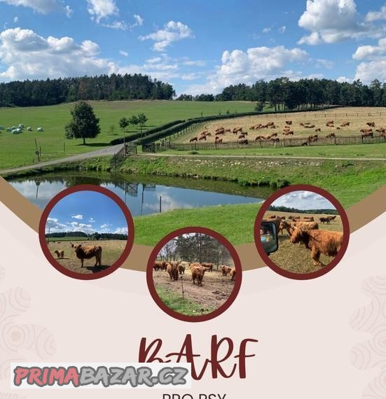 BARF - MASO PRO PSY
