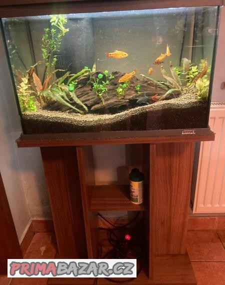 Akvárium 60L