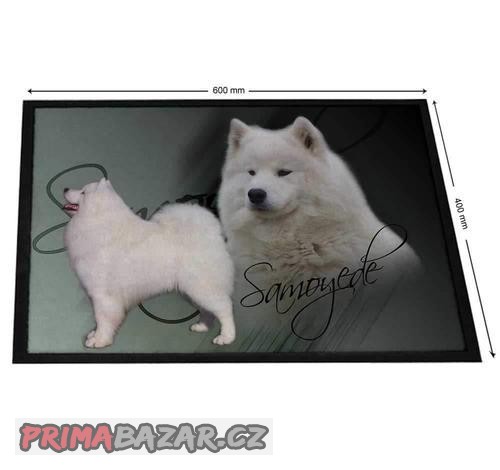 Kobereček - Samojed