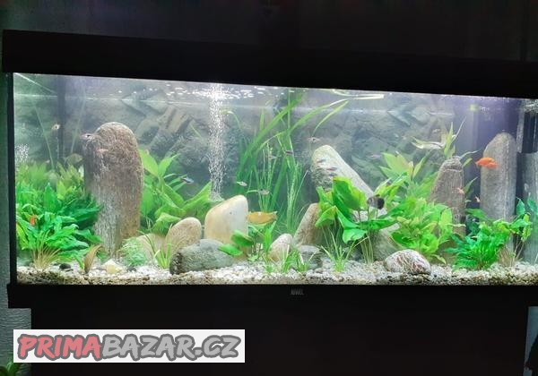 Akvarijní set Juwel Rio LED 240+ originální skříňka pod akvá