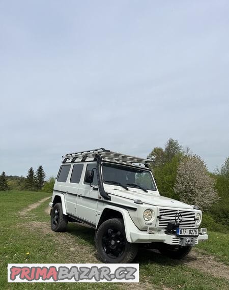 Mercedes Benz G 300 cdi Professional