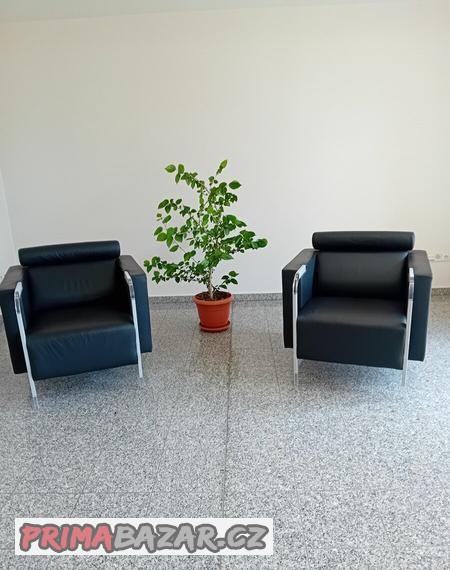 dve-kresla-italske-premiove-znacky-natuzzi