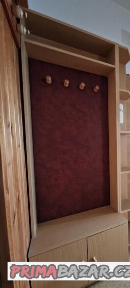 predsinova-stena-s-botnikem