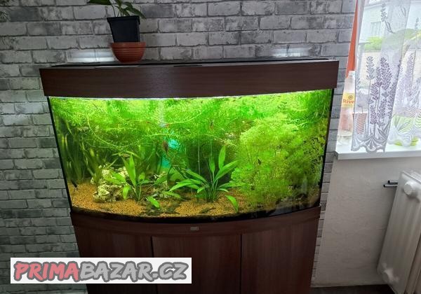 akvarijni-set