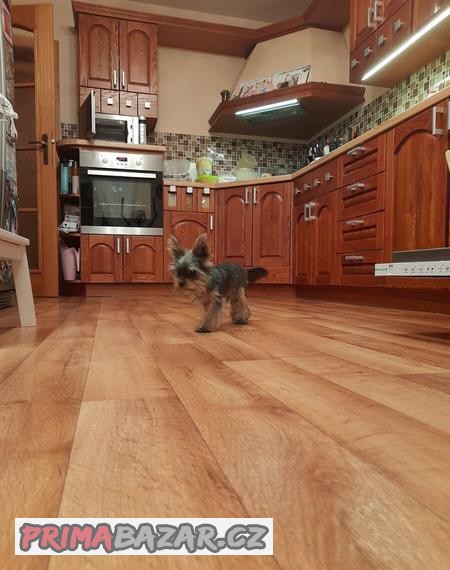 prodam-kuchyn-masiv-jasan