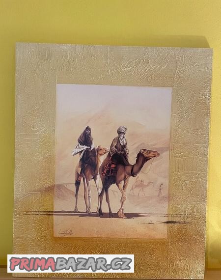 obraz-velbloudi