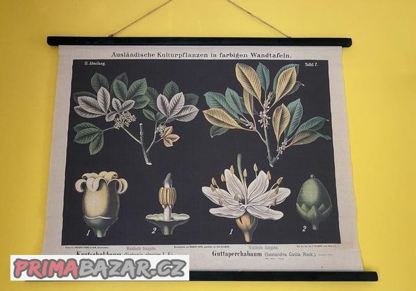 Nástěnná dekorace retro rostlinný design