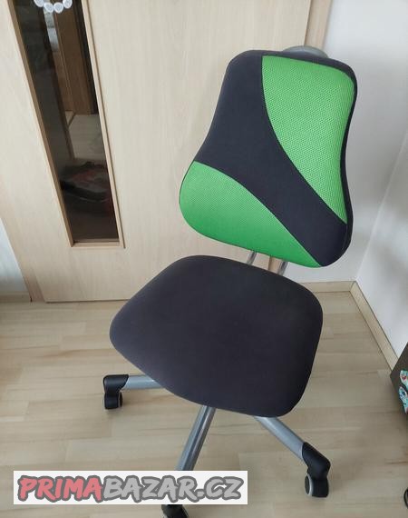 Dětská rostoucí židle MAYER Actikid 2428 A2 M2 407