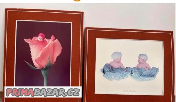 Obrazy od Anne Geddes