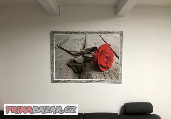 Obraz růže 110x80 cm