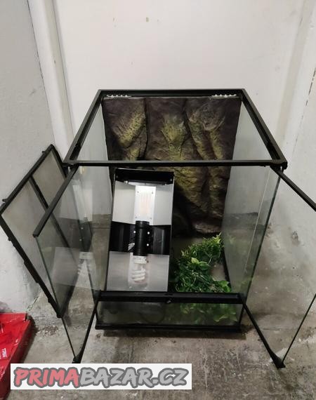 terarium-pro-chameleona