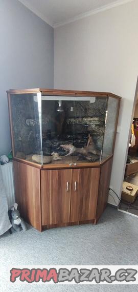 rohove-terarium