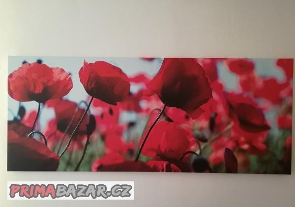 Obraz IKEA PJÄTTERYD