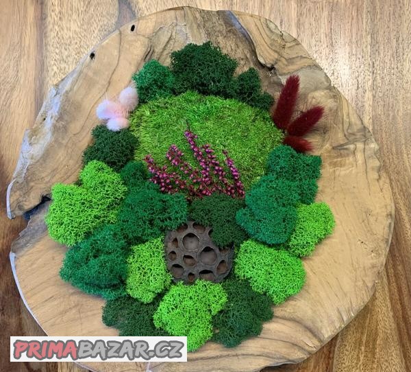 Mechová miska z teakového dřeva - 29cm - NOVÉ