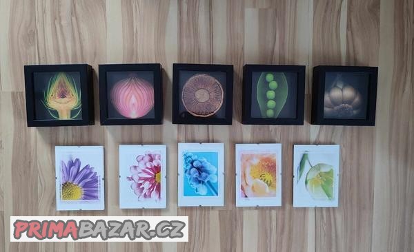 10x-obrazek-zelenina-16x16-a-kytky-18x13