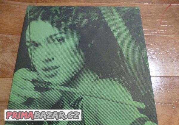 Fotka ženy na plátně