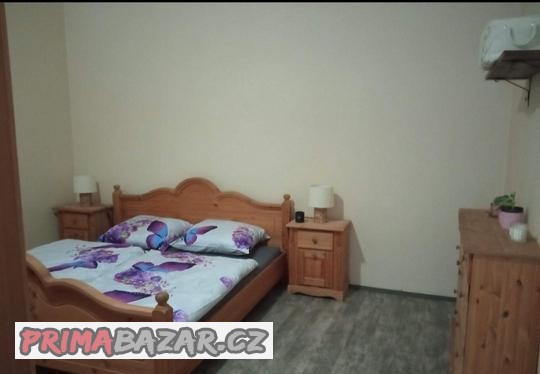 loznice-masiv-borovice