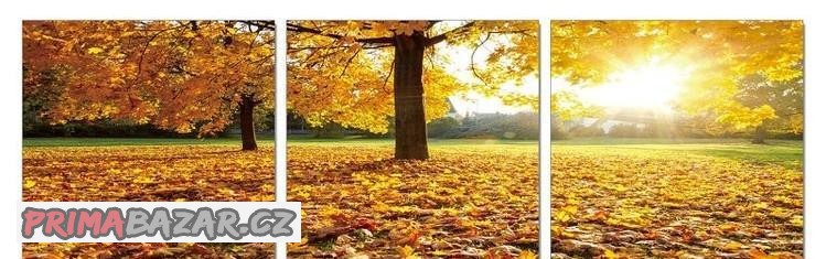 Obraz Sluneční paprsky podzimu