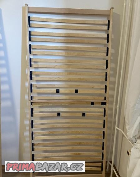 lamelovy-rost-tropico