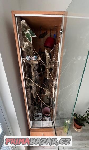 Terárko - chameleon