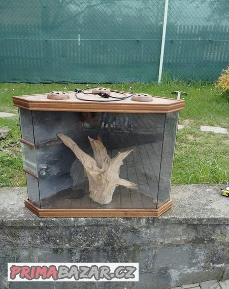 terarium