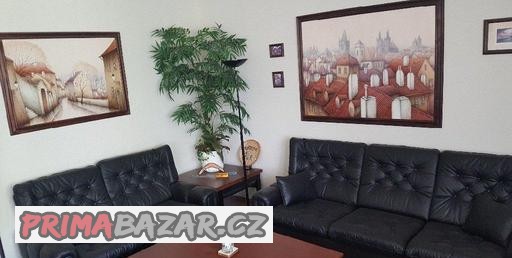 luxusni-kozena-kresla