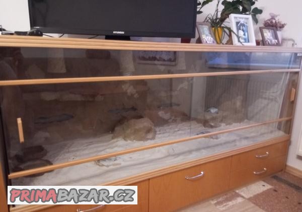 terarium-se-skrini
