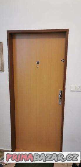 vstupni-dvere