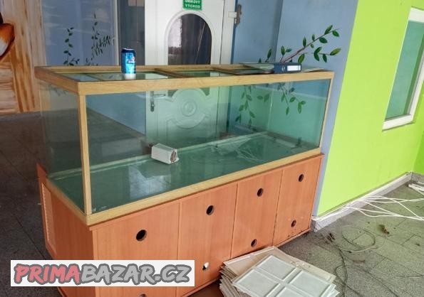 terarium-se-skrini-a-osvetlenim