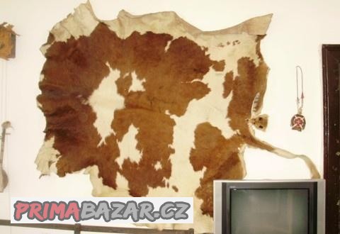 Prodáme vyčiněnou kravskou kůži