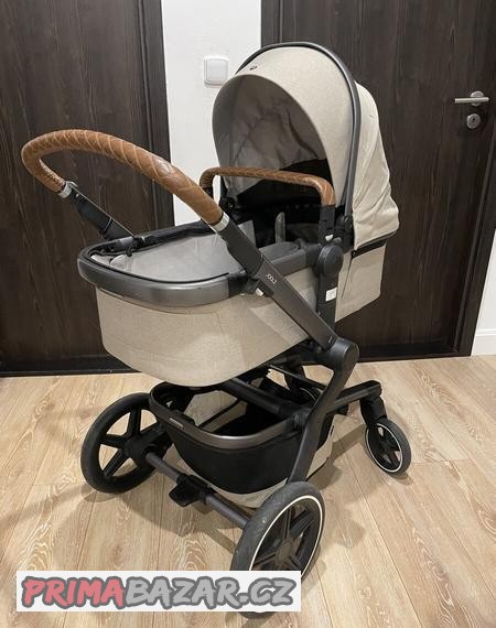 kocarek-joolz-day-2021