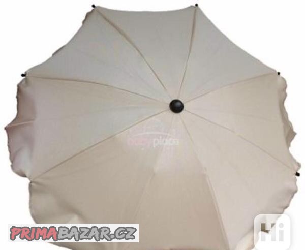 slunecnik-ke-kocarku