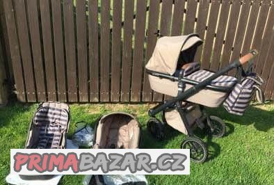 neonato-puro-kocarek