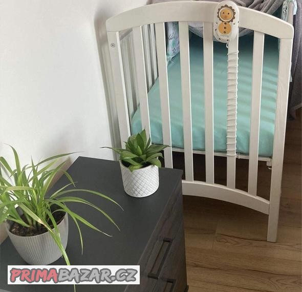 monitor-dechu-nanny-bm-02